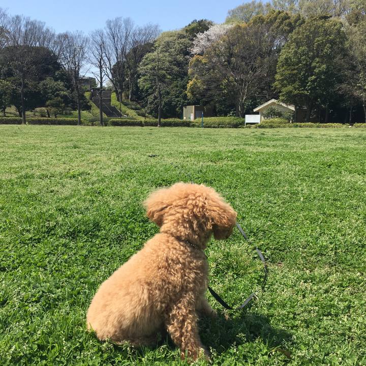 53664e85 7680 40e1 9aed 85b43e43fbc0