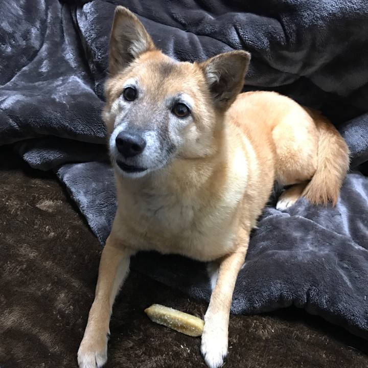 53667a75 2113 49a9 817d c289d73da62f