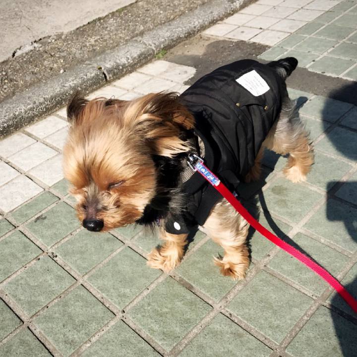 53677f43 24d5 407b 83db 7b00d5f7da80