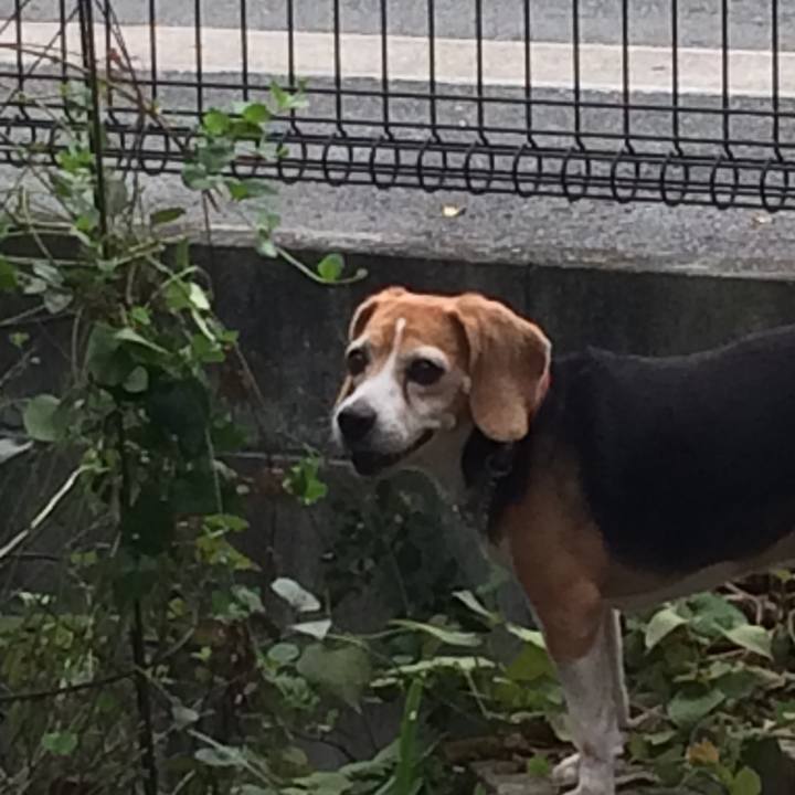 5367e5ad 9358 4ae7 ac71 9e6e7380bfec