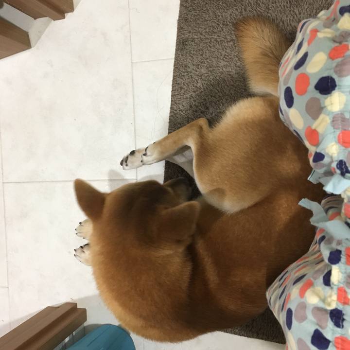 53682728 e171 40b7 b871 3fe94d58f955