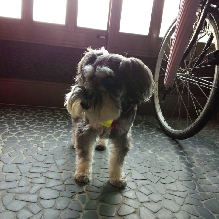 53687181 d3ff 44d7 bd62 a3edb0e77e81