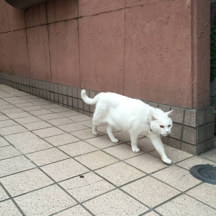 53689f81 c58d 45e7 ad5f 19fa166d7132