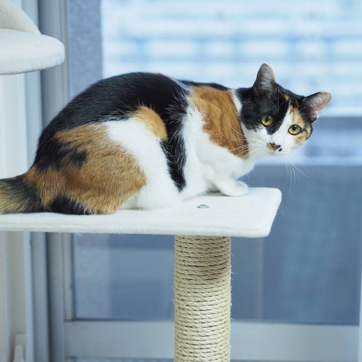 5368c79f 8228 4b7b ba6a facb573d17d3