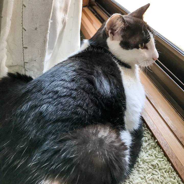 5369054b c683 46bb 9647 d6f7c929f713