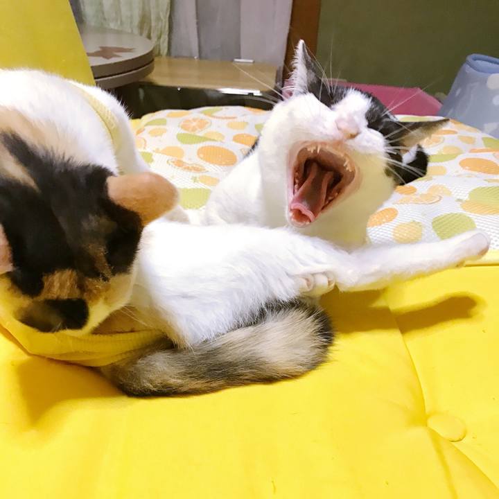 536938ba 7af3 4acc a483 e961cd81c2a1