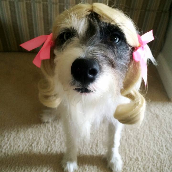 536950cd 4a25 4173 adb1 ff678a637f61