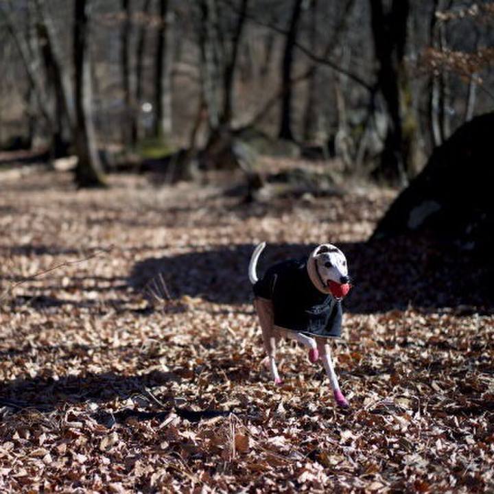 5369990b a2ec 4164 915b 5e927f5c834e