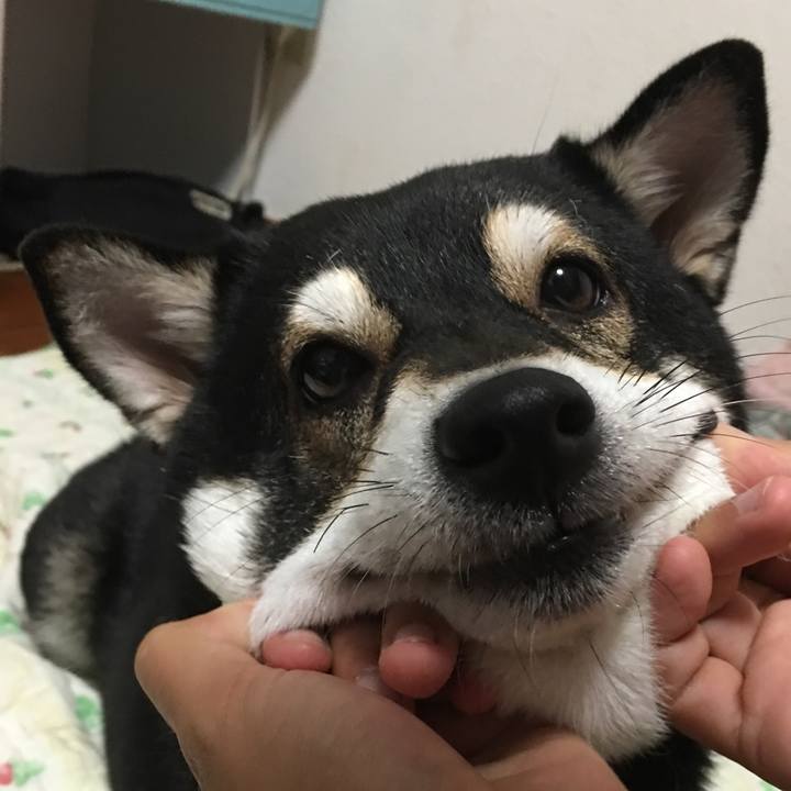 53699ebc e310 4234 b698 1569021f6950