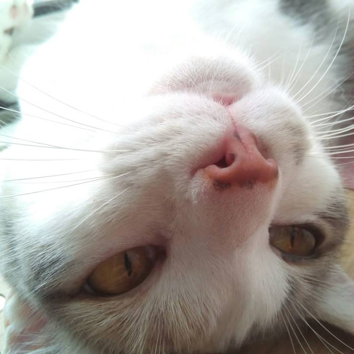 5369be9f 1d62 48e6 9397 43377f782898