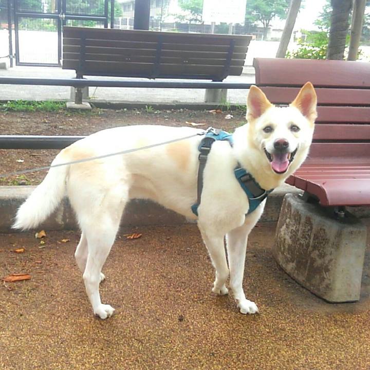 5369d500 ddc0 4155 85e8 90208678a01e