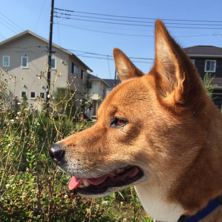 5369dce9 a25e 4bfd 9ac4 6ec945c42bbd