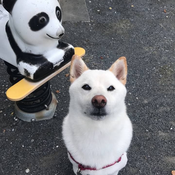 5369ec22 bca3 476e 9f70 511ac2f42373