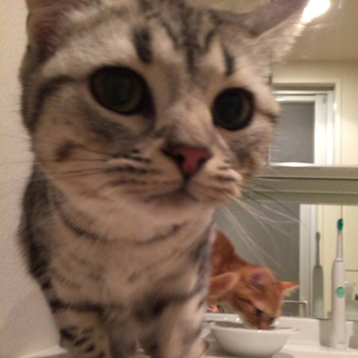 536a45a7 73cc 480d ade9 11eae2fde836