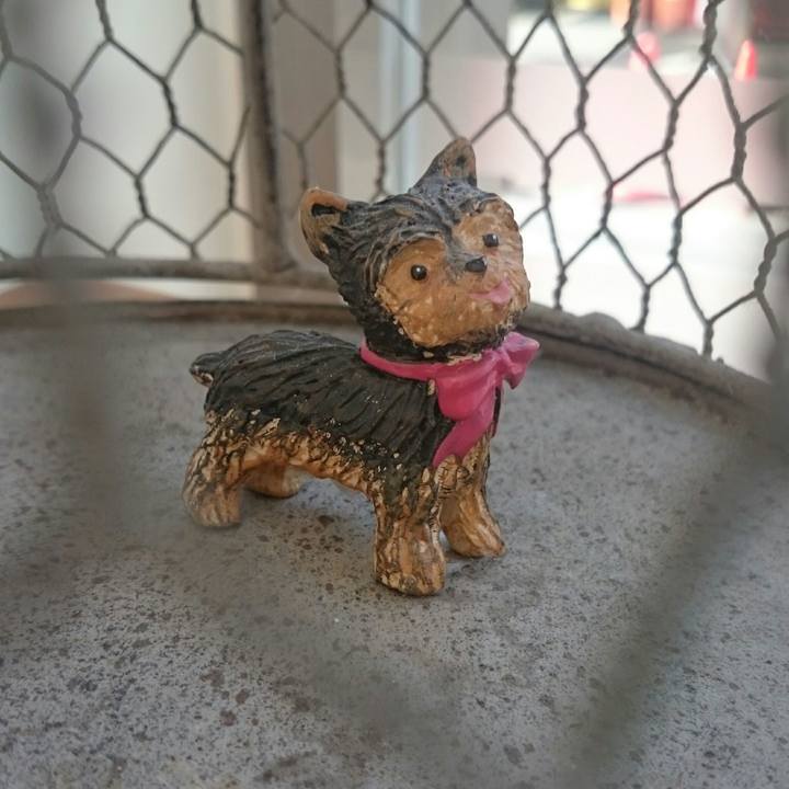 536a4b7c c5e7 4df5 b3b9 38c227a06907