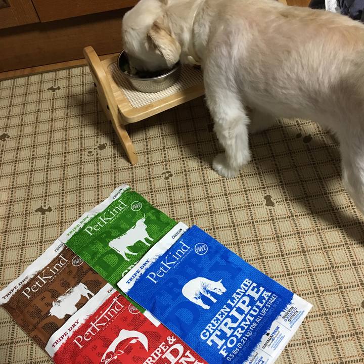 536a6291 c702 40a9 917d 72758dd3b023