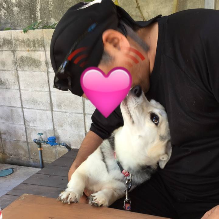 536ab5df 6276 49bf 8b21 3569b3a1ab9f