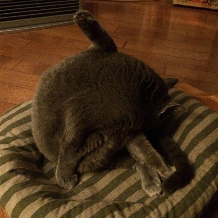 536b27b0 c026 422e 81c8 3650a4cf0278