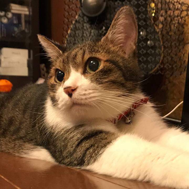 536b8424 95b1 49e6 bb8a 8685ae7e8de6