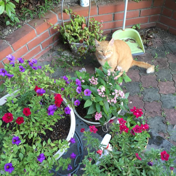 536ba616 a150 40e4 9bee 4ff39a17e289