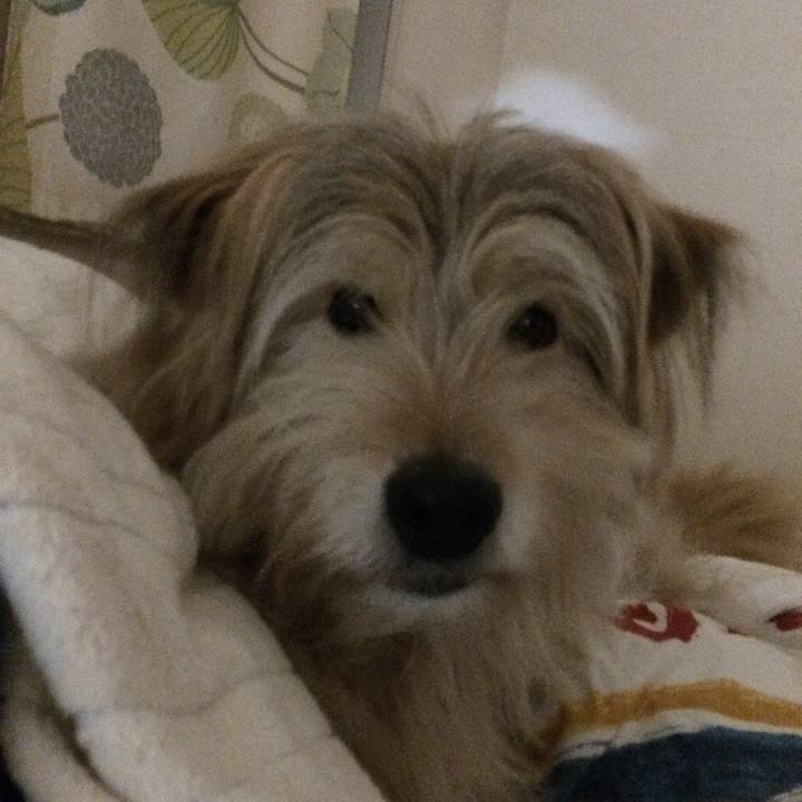 536c34e4 f090 4806 b06c c2b56c1fd07d