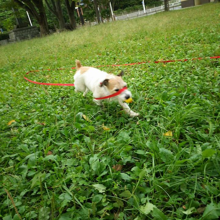 536c5eac 6176 41eb ac61 de1da5bb3f2b