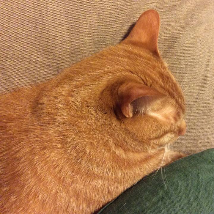 536caf66 bb7a 4bb0 9cbb c7b92117f3ee