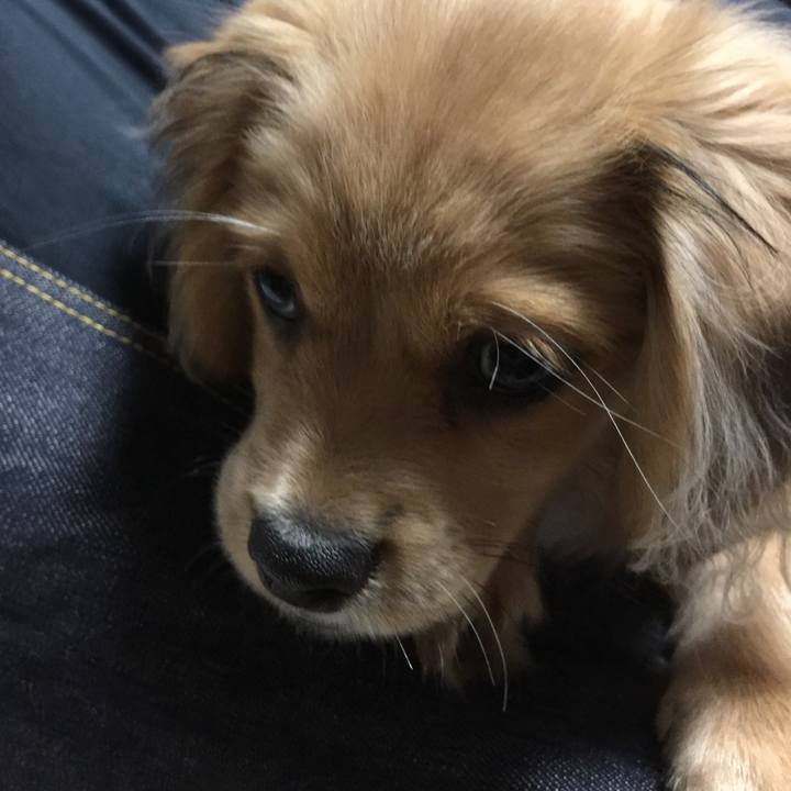 536cb0fa cb23 4462 8e48 a0c6435cb441