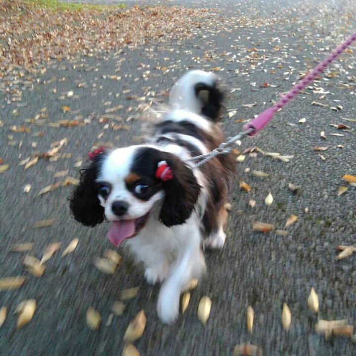 536d42e4 4d8c 4b9d b37e 773645fee3f0