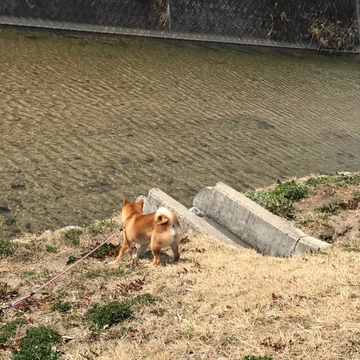 536d5794 47b2 4efb 8035 f305f6e086e2