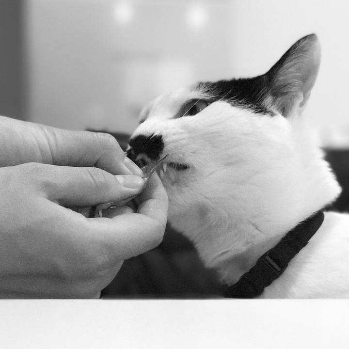 536dce44 6bc4 4607 99fe ff438a8604c6