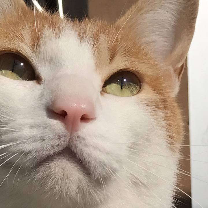 536defc5 f666 4d6b b83c a31419634ee4