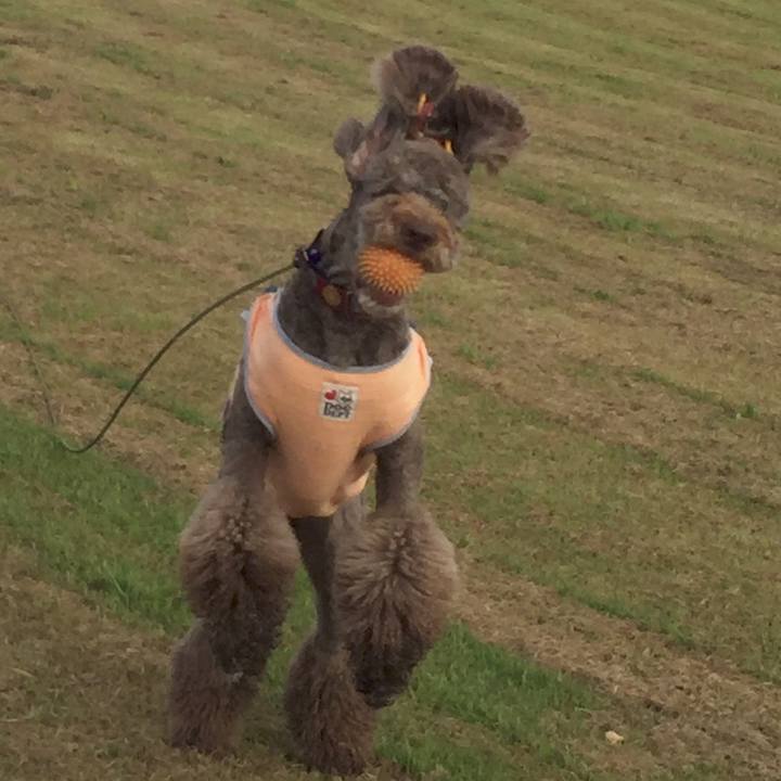 536e2f71 1cb6 4d00 8577 442c8c114c5f