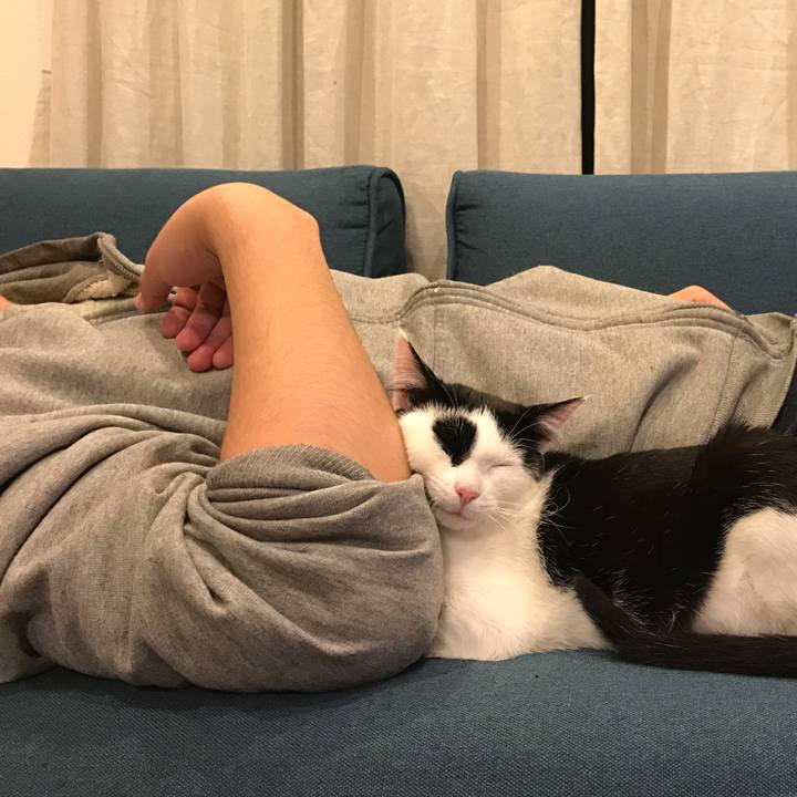 536e96c9 0a80 4bfc 9919 b9db07b46fa5