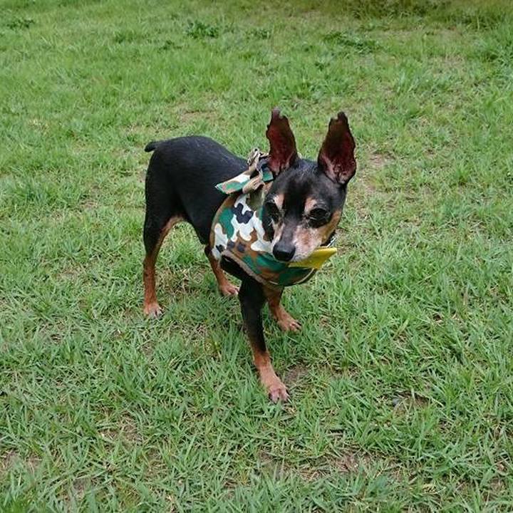 536ed2d5 0554 43d5 87d7 558b4d027320