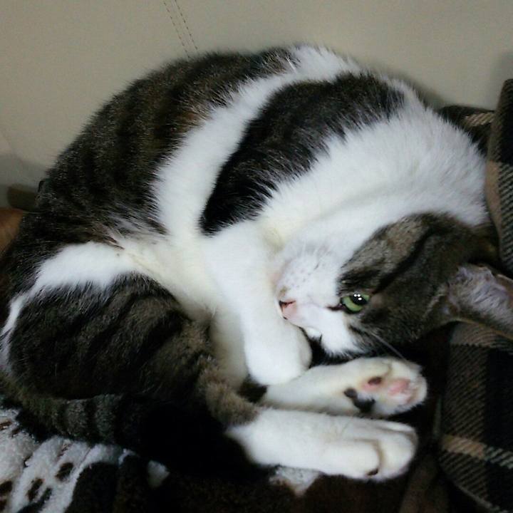 536f9b4d d538 46b0 abbd bcf8b744a6db