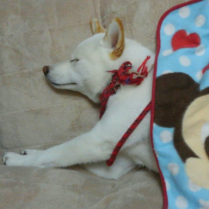 536fc299 0092 4748 b352 1bd2c0ad67e8