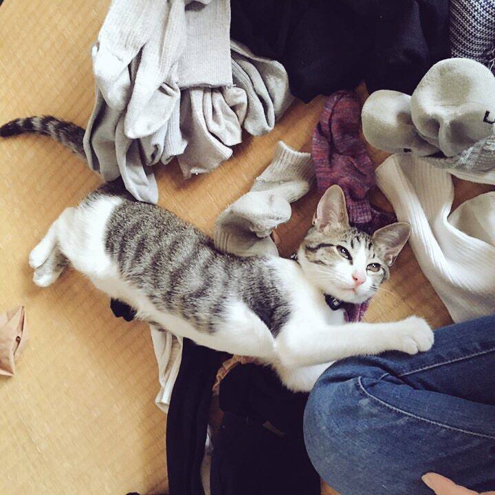 537063a0 95bf 4b1f b55b 95cce3c27c5f