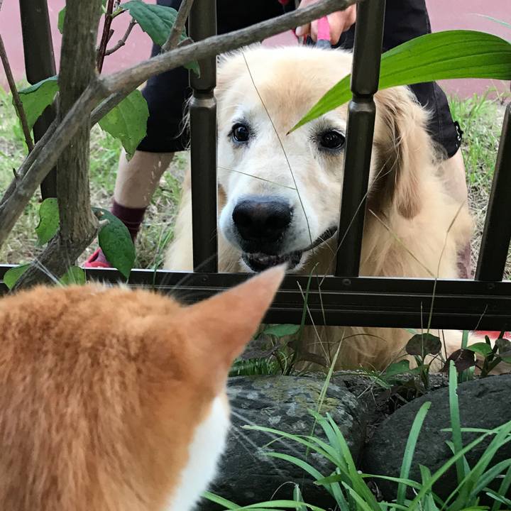 53708093 5e07 4cdf adc1 d163e2535be3