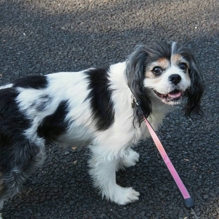 5370f592 f6e1 4299 9d62 be40602835ef