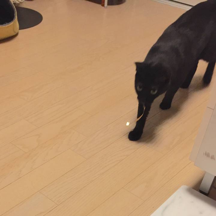 53714291 c208 4099 8530 2d65ae631ecf