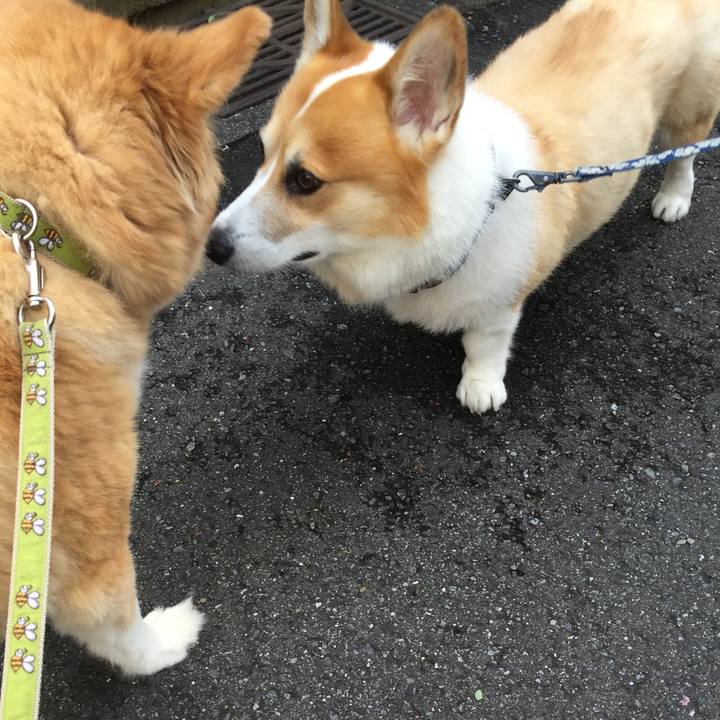 53719ed6 cef9 49ab a5df afafbceed627