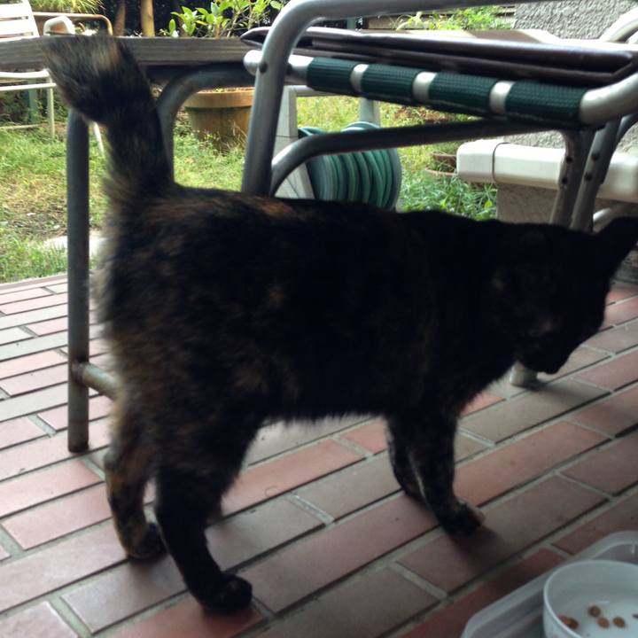 5371e2f9 dbbb 48c8 9c66 4e1cb87b37d4