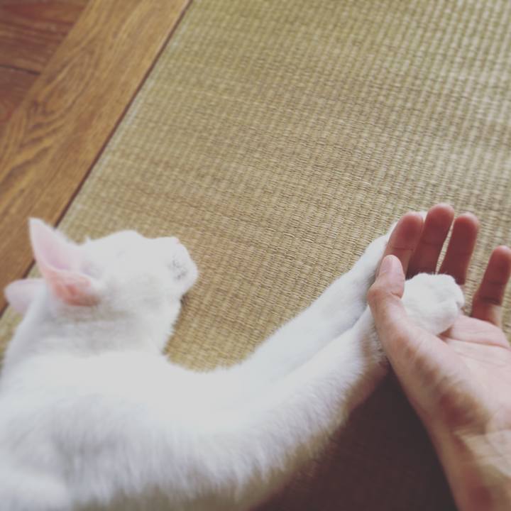 53721f1d 8884 44dc 85d8 c2e7978f6364