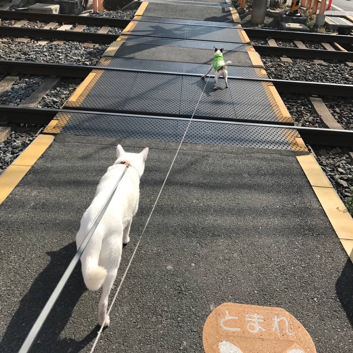 5372cc99 63a1 4942 b828 6f4fd6301f39