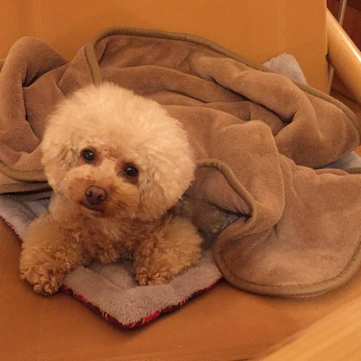 53732a41 0d22 4427 8b05 2d1d9d9c220c