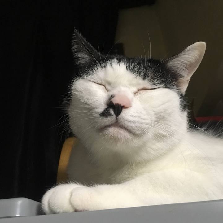 537362d4 b659 48e2 b134 46994827818b