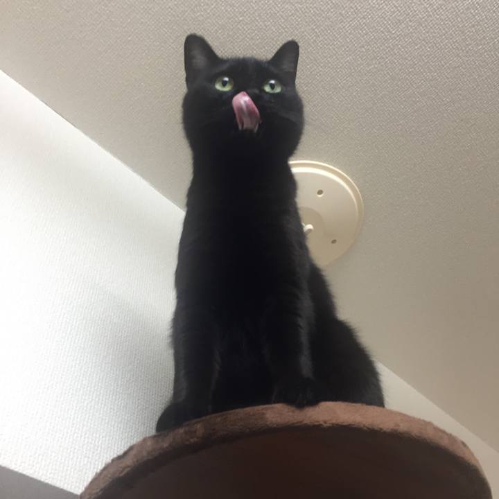 537384ce ca56 4e72 ae1e 7aa29b1d32e8