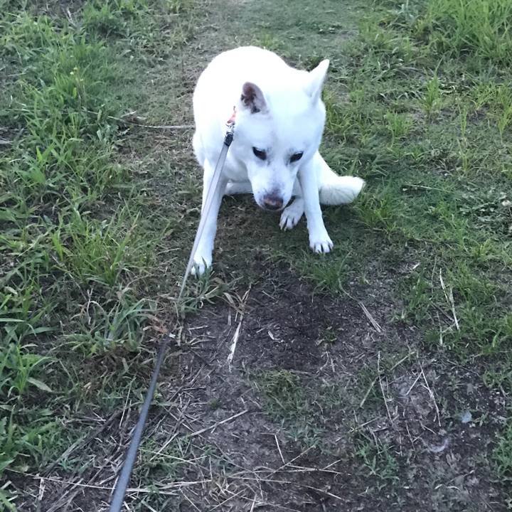 5373b84b 6da3 43bf a6ec b3b6f1de83e7