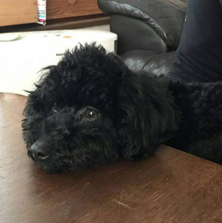 5374d8e2 60bf 4bf5 aeff cea22a419400